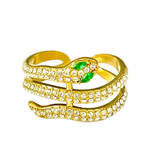 Anillo snake