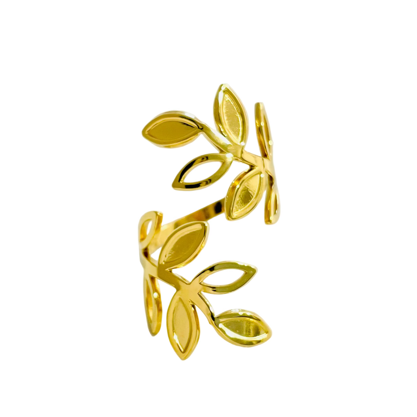 Anillo Liana