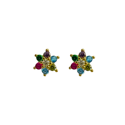 Pendientes Fiesta Floral Plata de Ley 925
